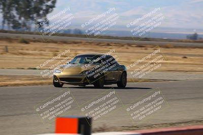 media/Nov-16-2024-CalClub SCCA (Sat) [[641f3b2761]]/Group 4/Grid and Front Straight/